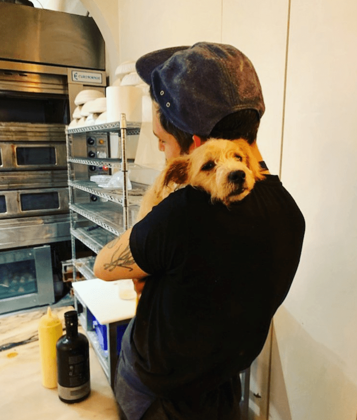 Hugging a dog on pet-friendly bar ISCO