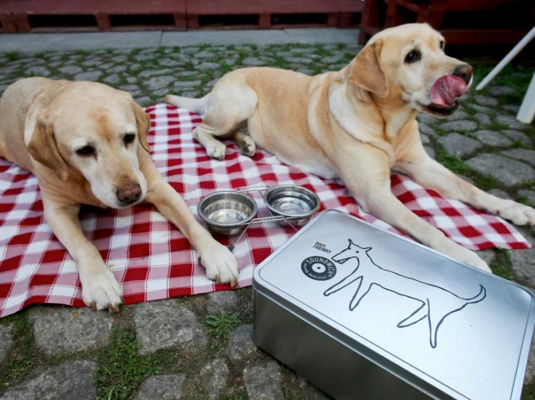 Dogs at pet-friendly restaurant Soundwich